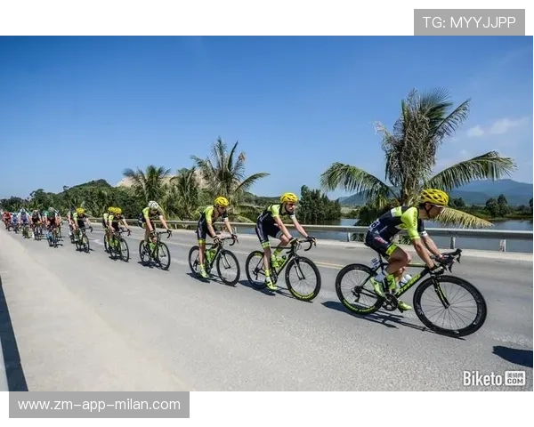 国王体能规划：冲刺恢复更具针对性